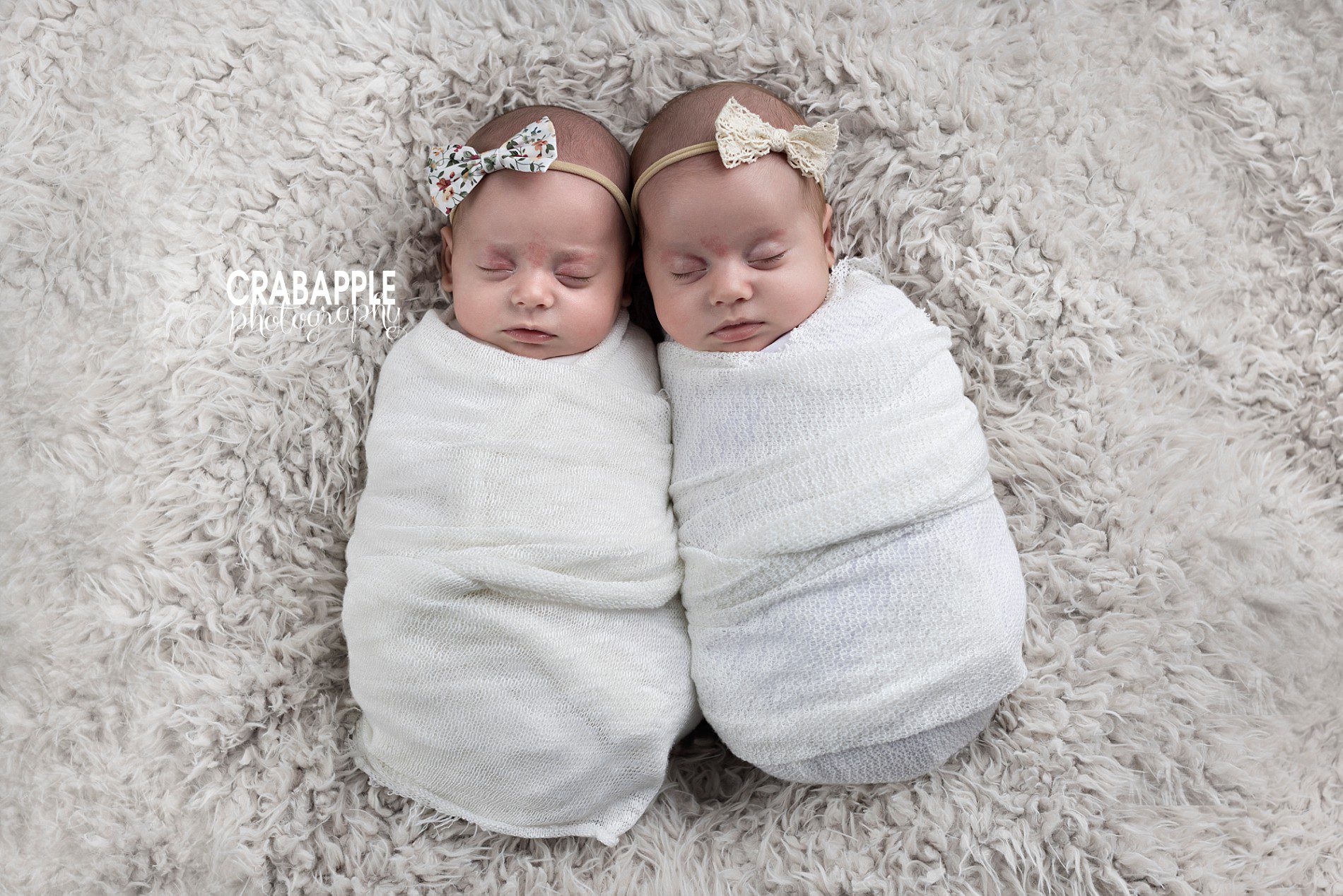 twin infant portraits