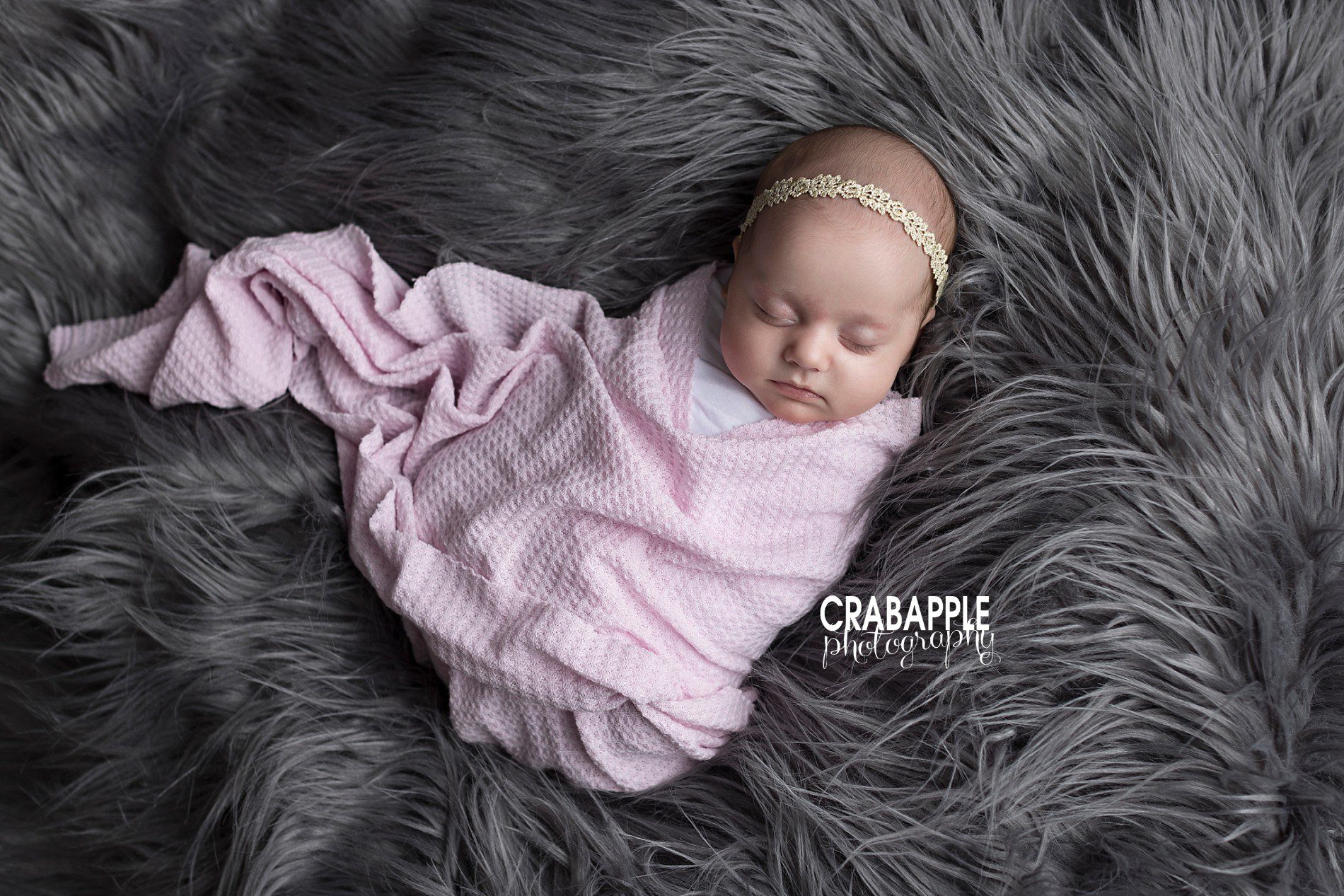 purple and gray newborn photos
