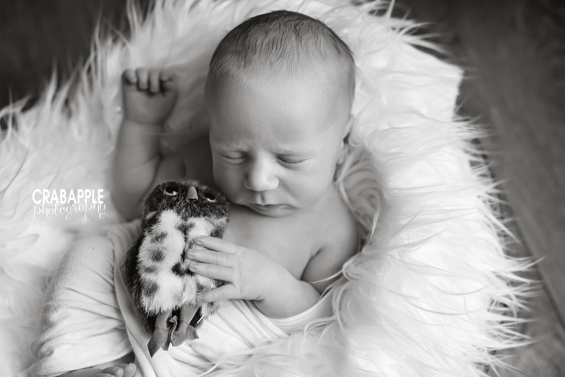 black and white newborn portraits