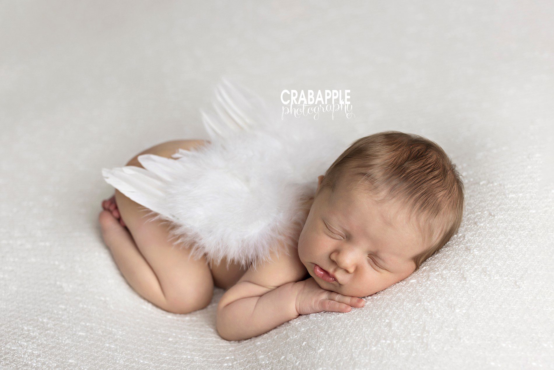 angel wings newborn photo