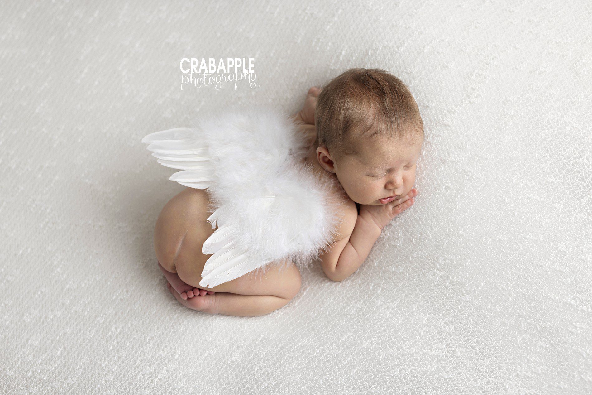 angel wings baby photos