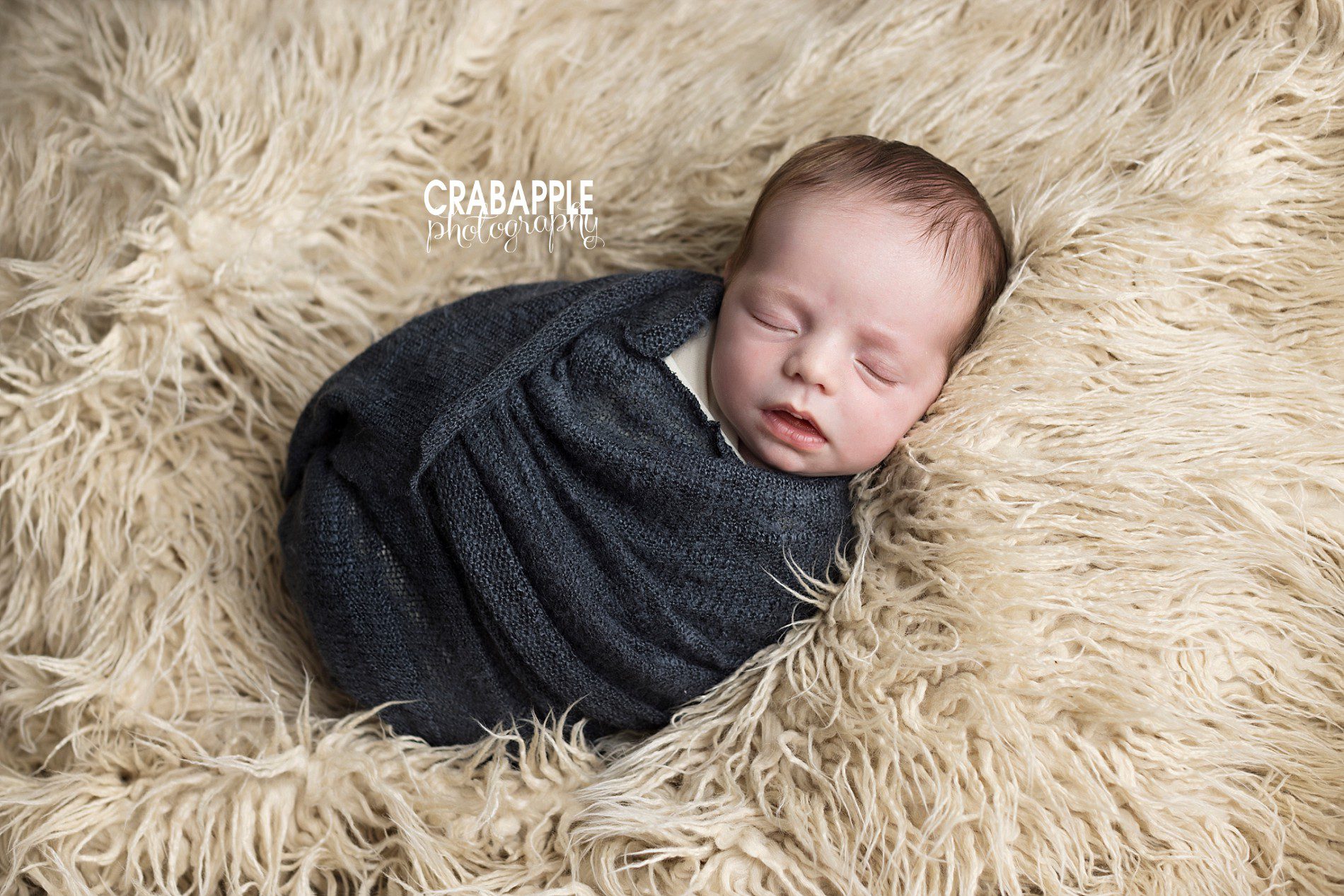 newborn pictures marblehead ma