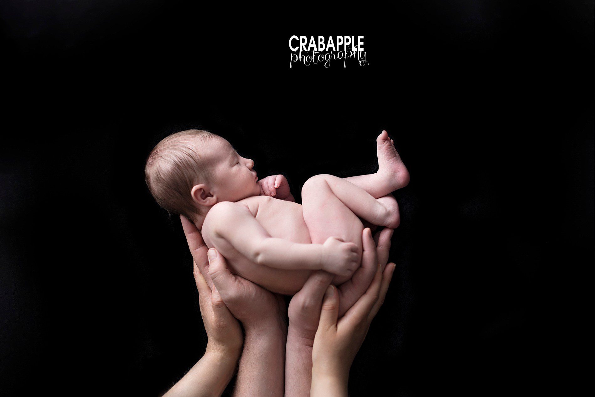 posing ideas for newborn portraits using parents hands