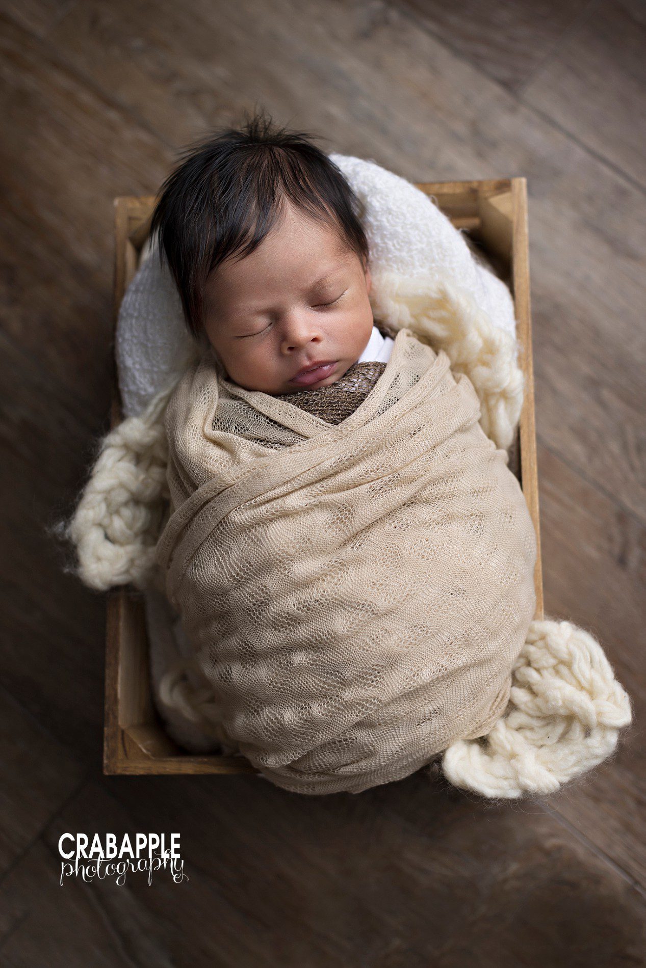 neutral brown newborn photos