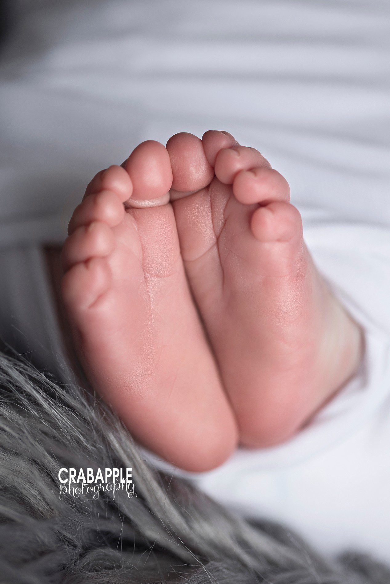 newborn photographer portraits baby feet