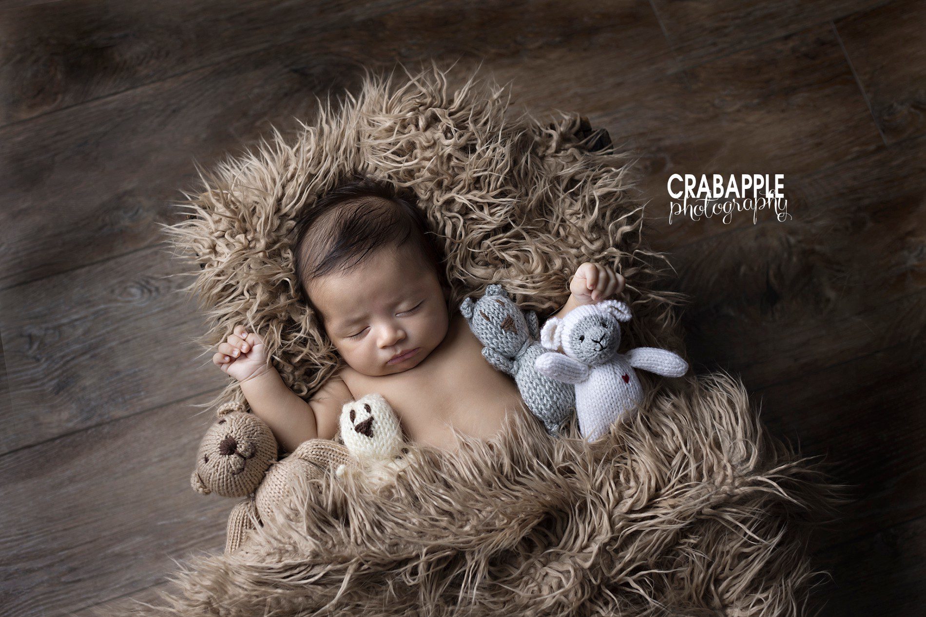baby photos with stuffed animals