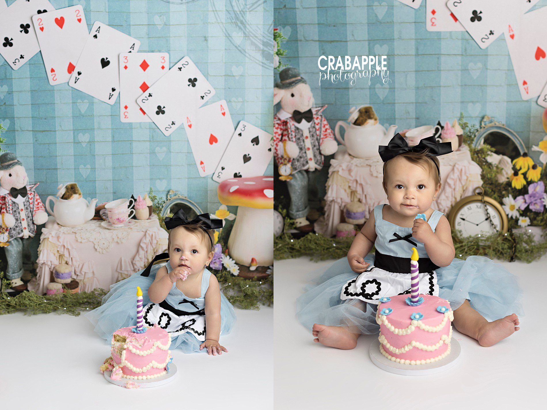 Alice in Wonderland Cake Smash Ideas · Crabapple Photography