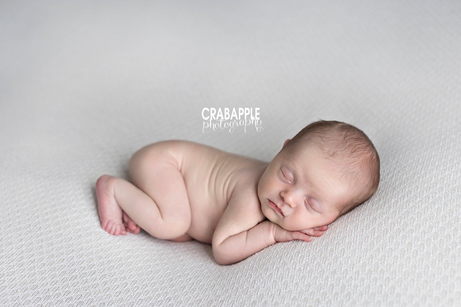 melrose newborn photos