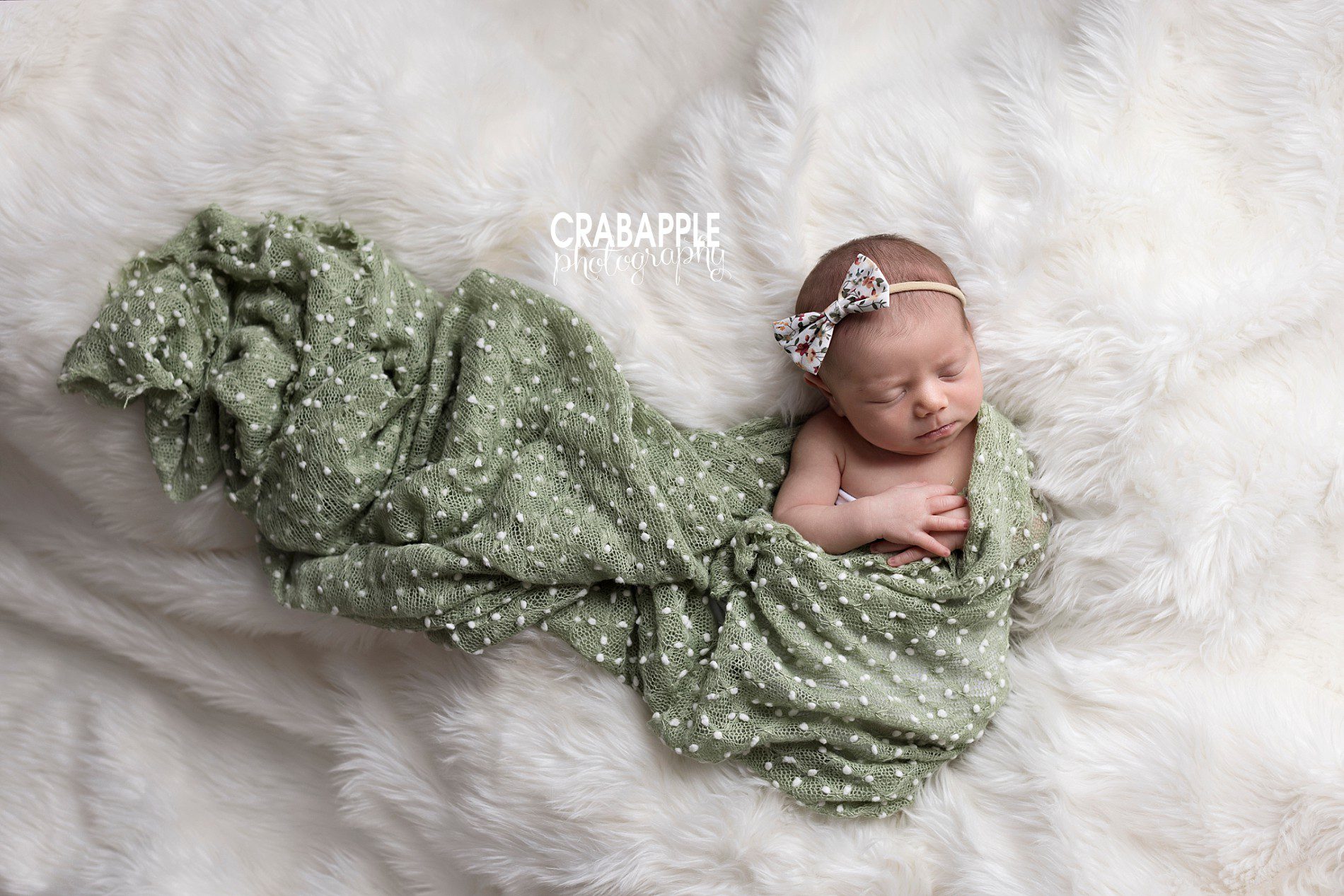 baby girl newborn photos using light sage green