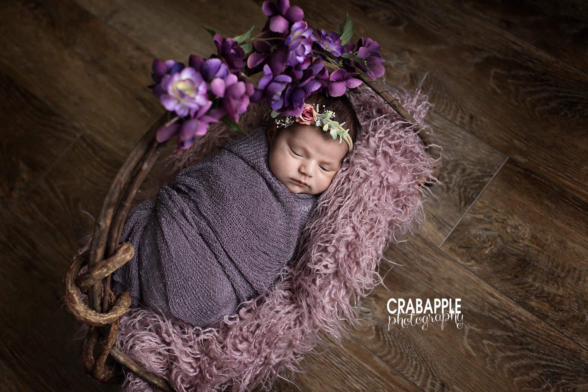 purple flowers newborn photos