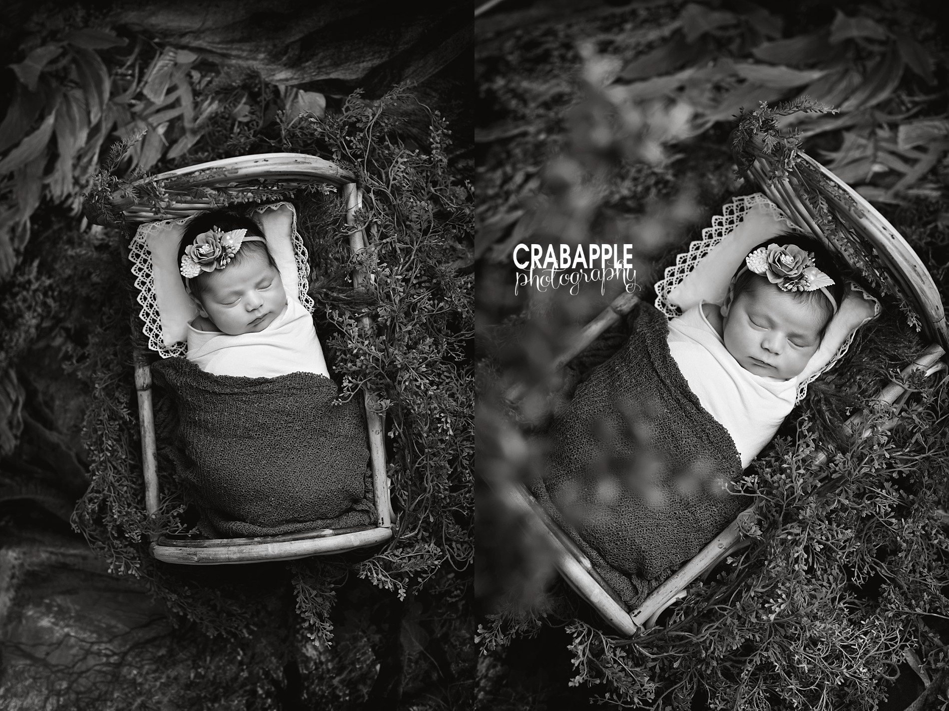 digital editing for whimsical newborn pictures