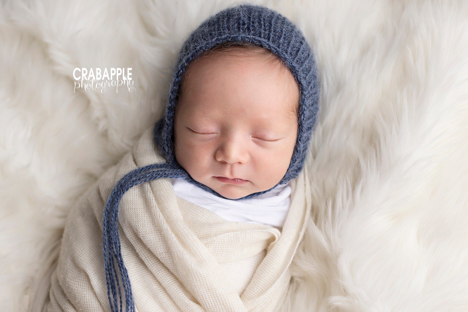 blue and cream newborn photos