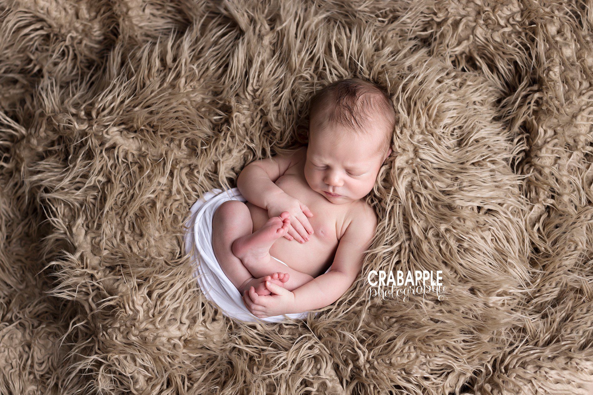brown and white neutral newborn photos for boys
