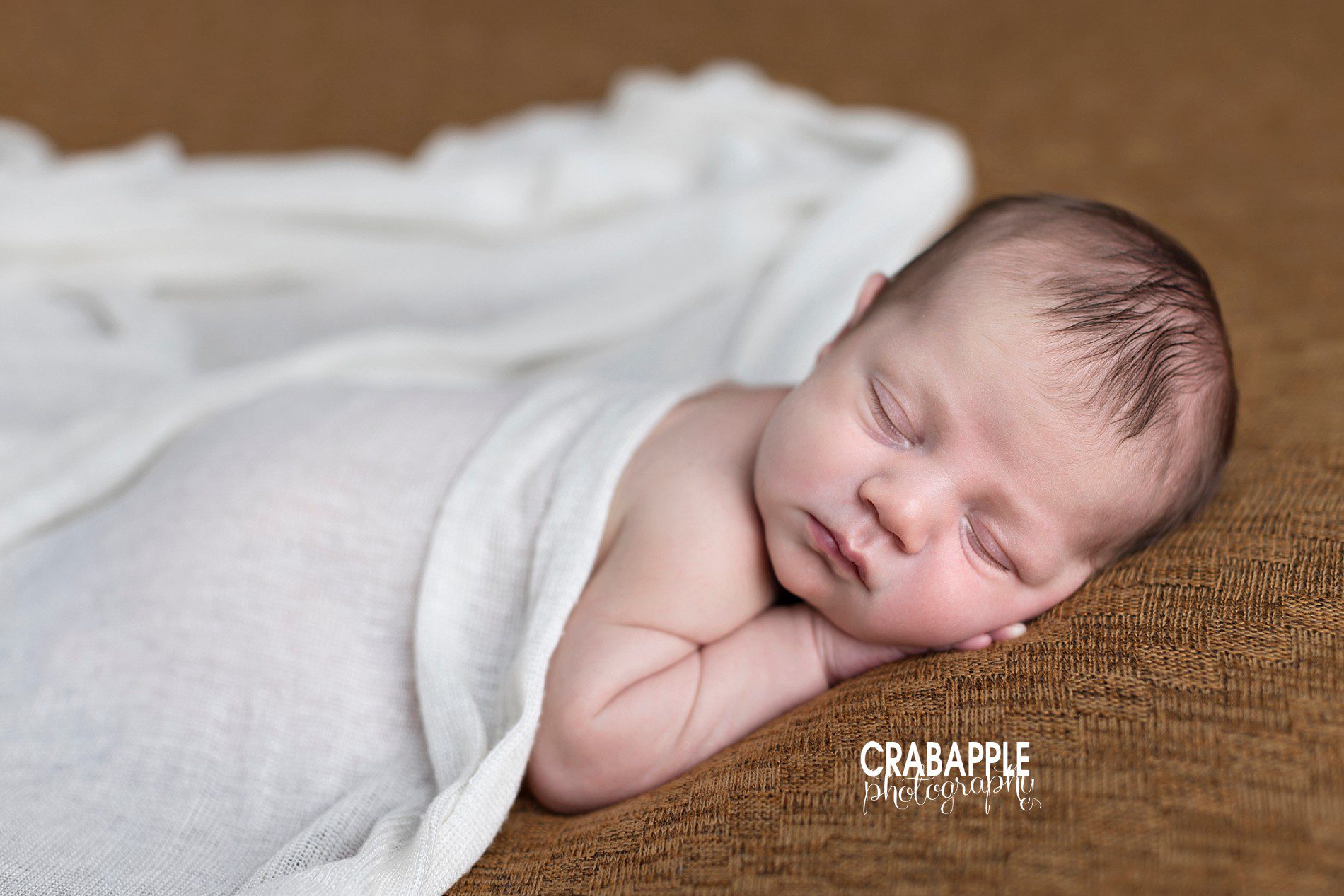 brown and white newborn pics for boys