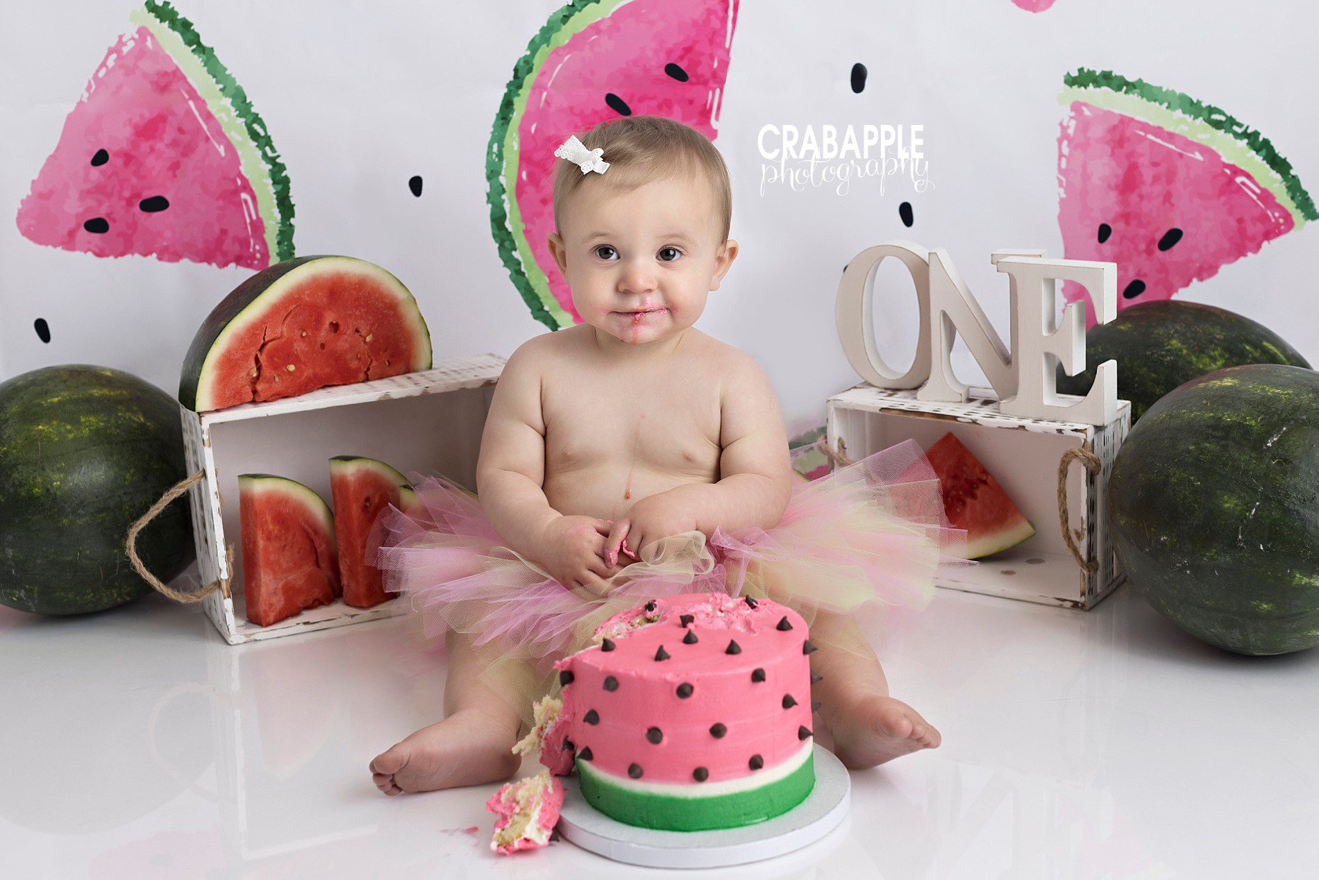 watermelon one in a melon cake smash first birthday