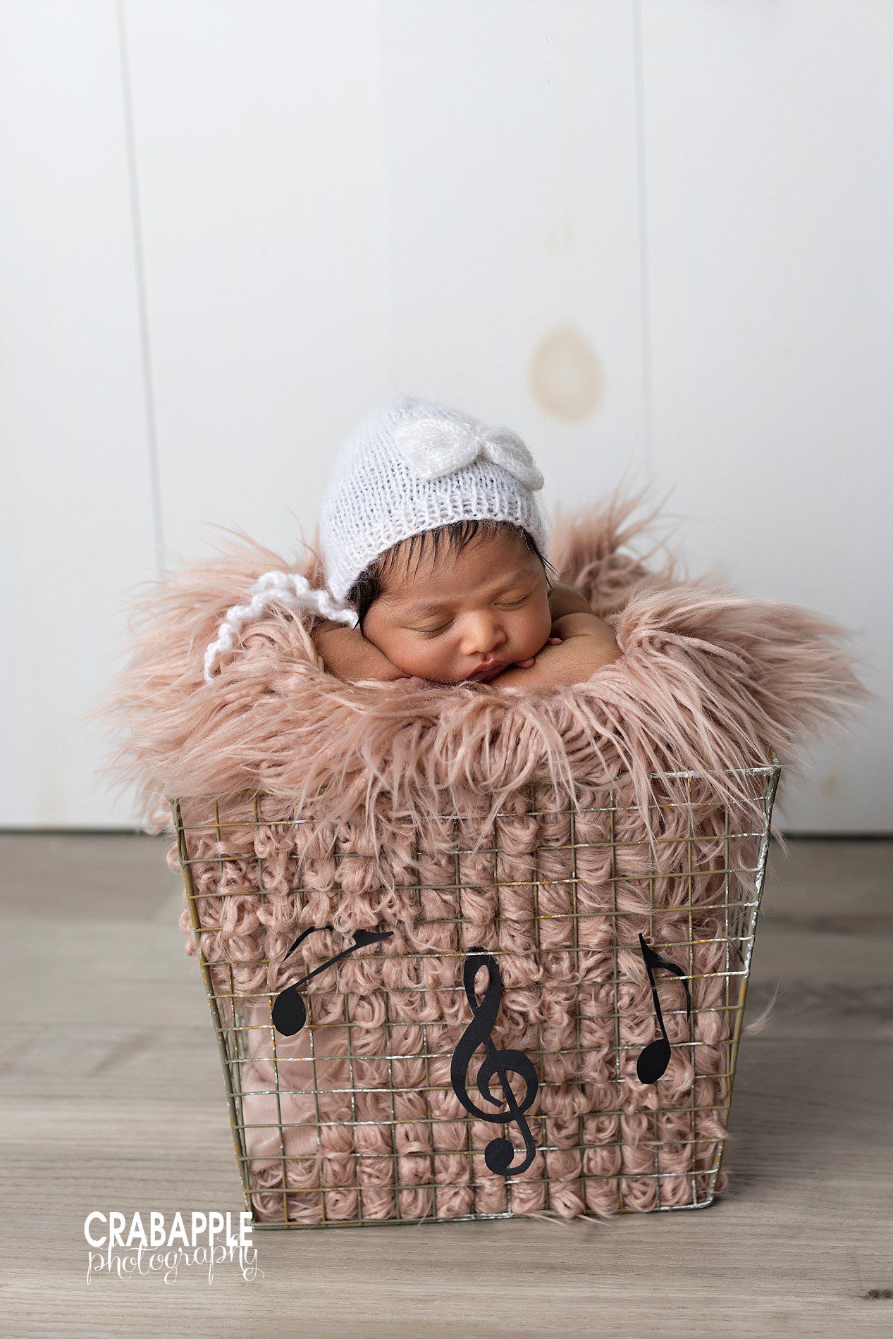 music inspired newborn photos with music notes