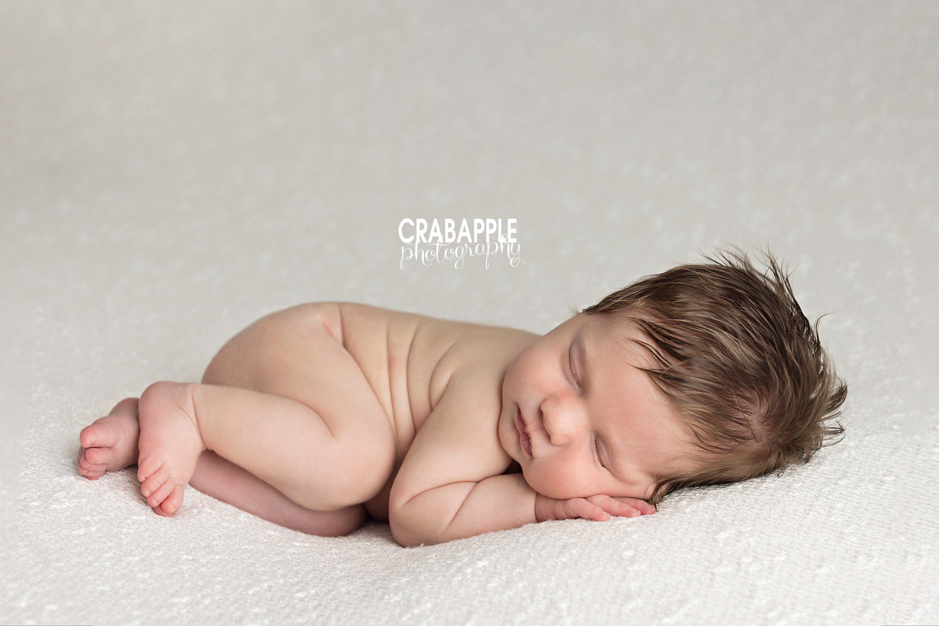 topsfield newborn photographer