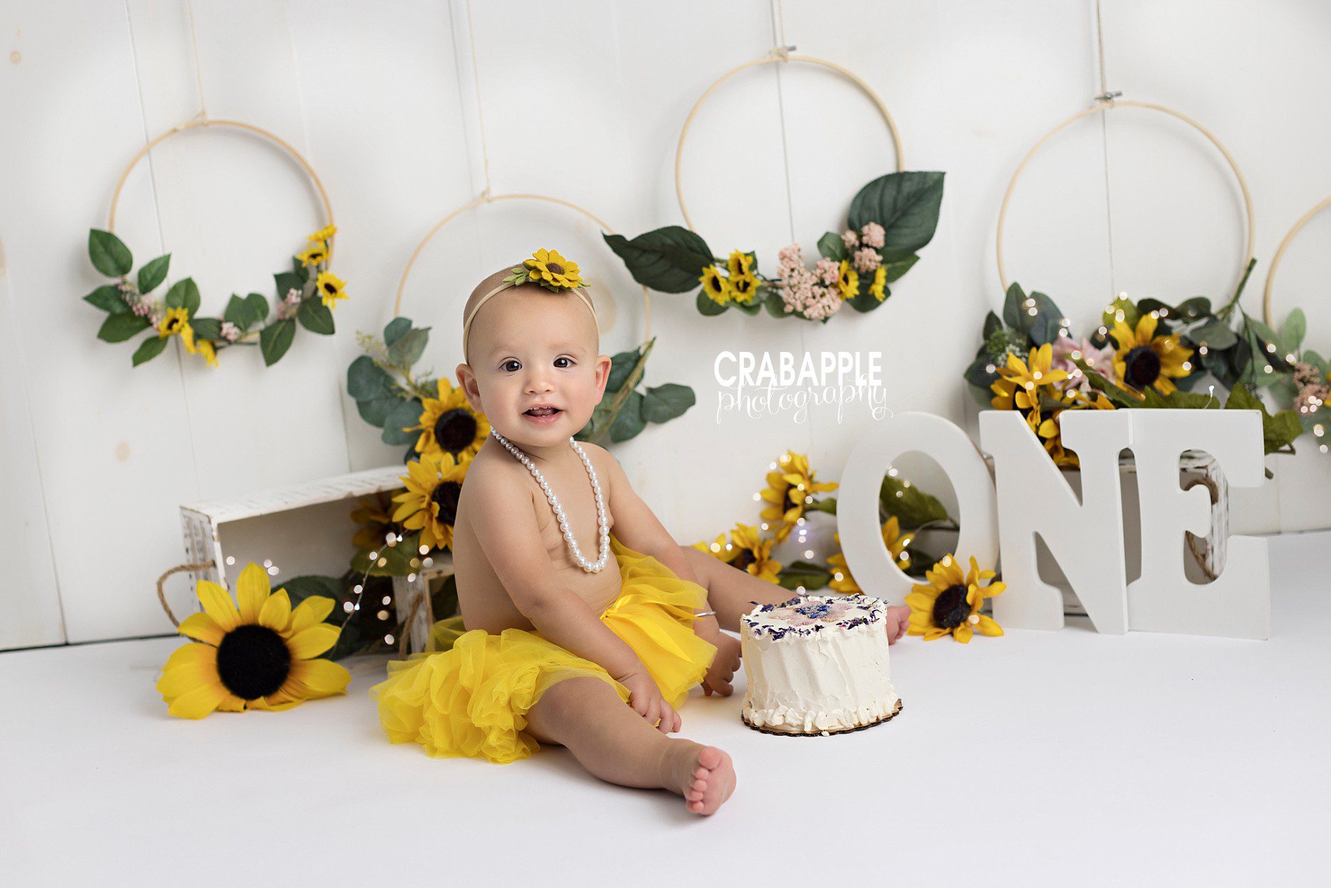 https://crabapplephotography.com/2023/10/05/sunflower-cake-smash-and-1st-birthday-pics/