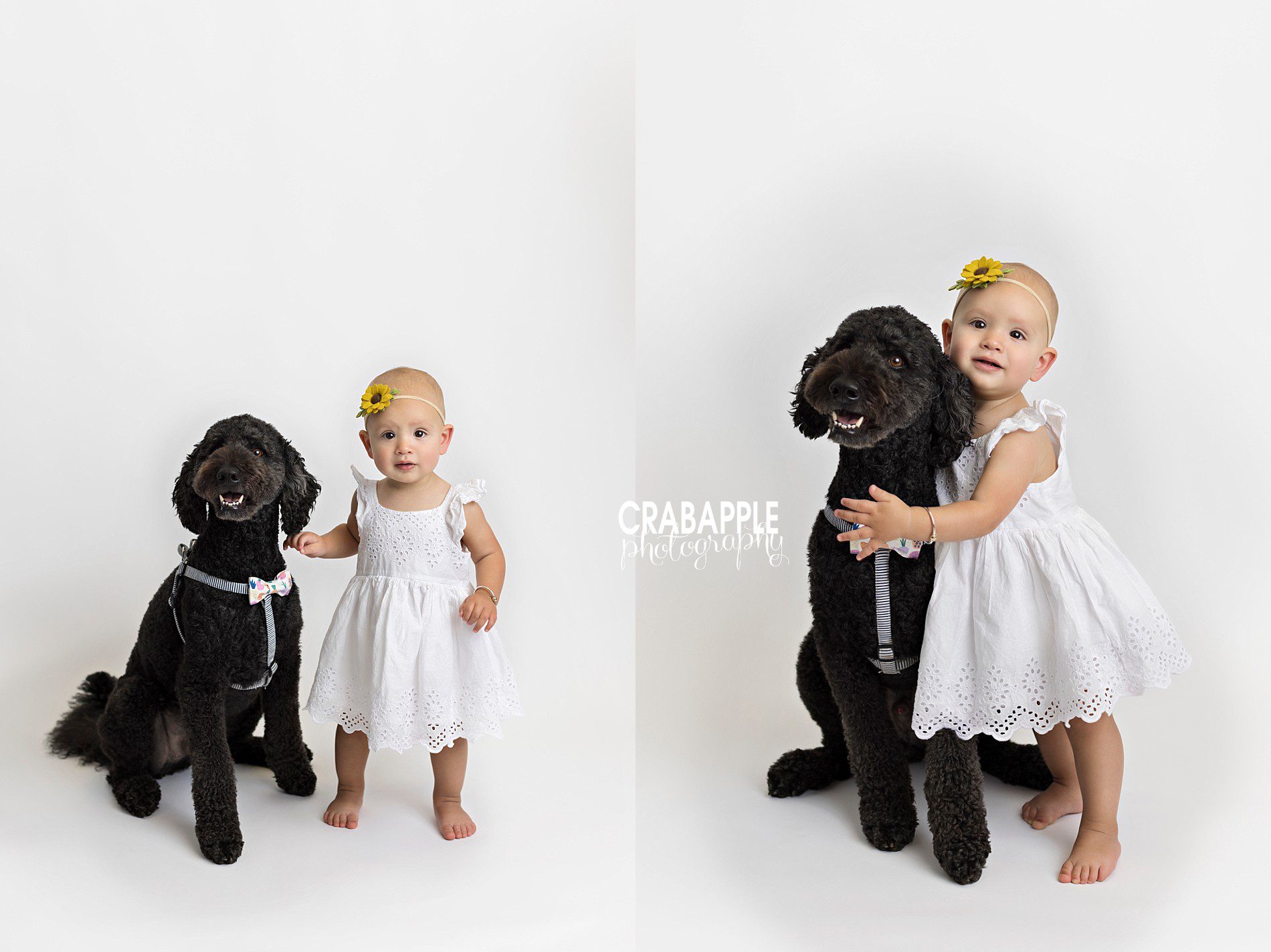 1 year baby photos with dog