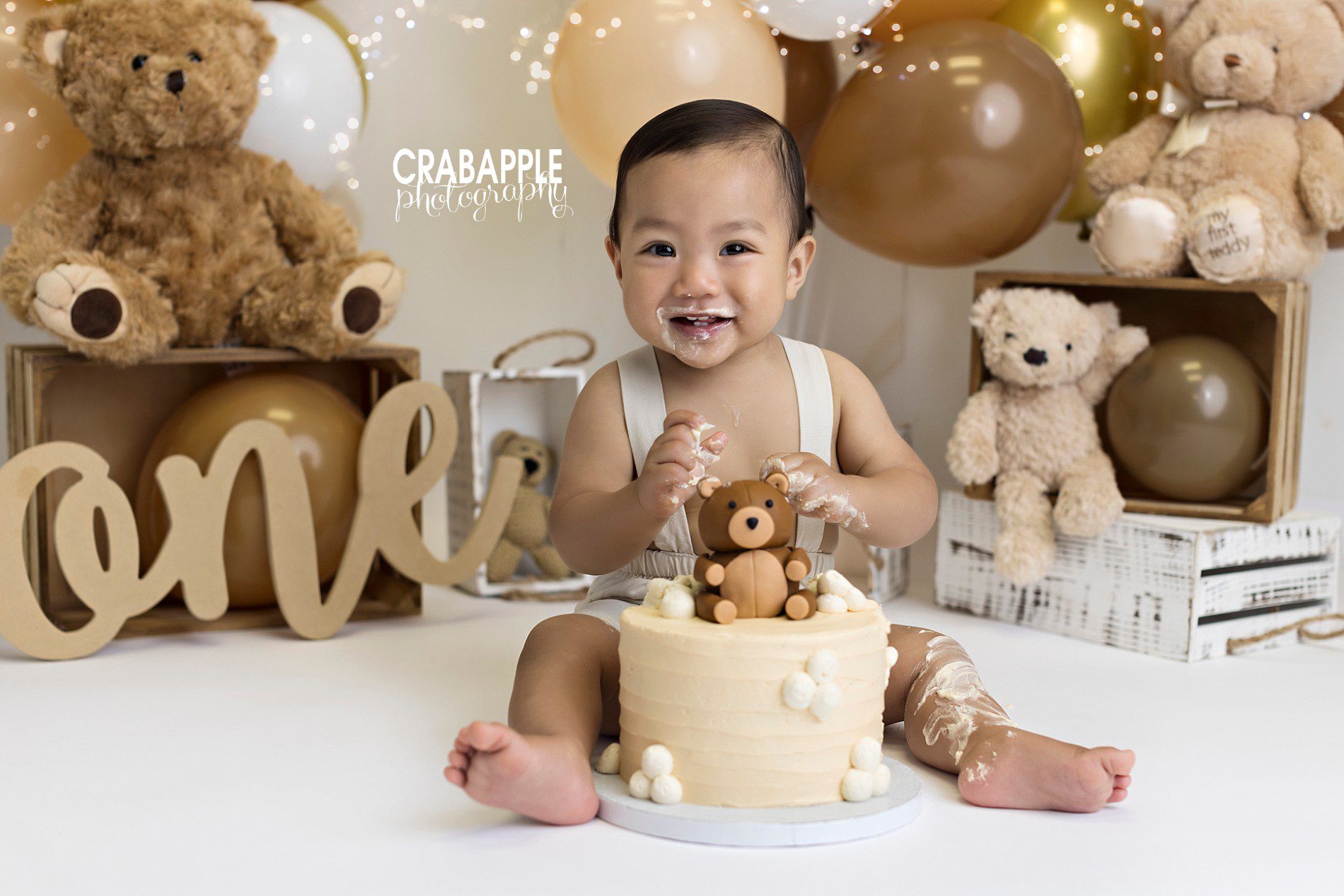 teddy bear first birthday cake smash photos