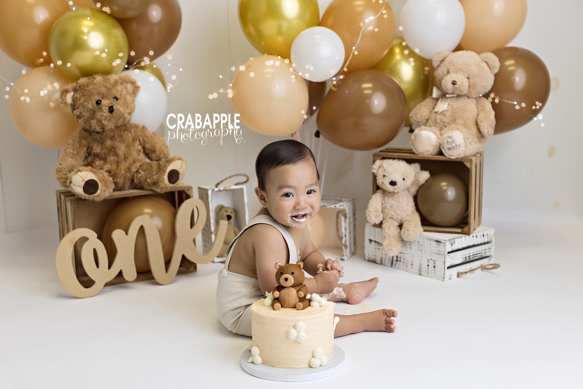 ideas for cake smash photos with teddy bears