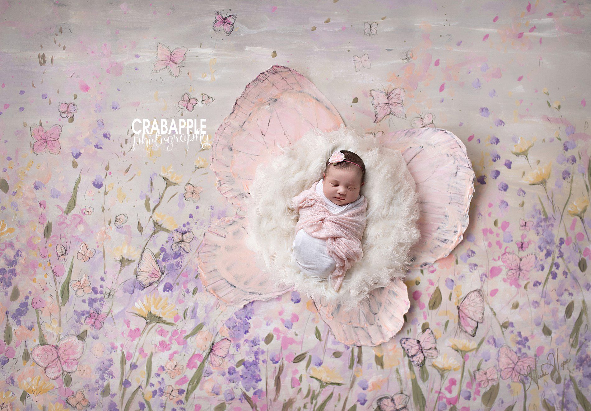 butterfly, floral, whimsical newborn photos digital backdrop