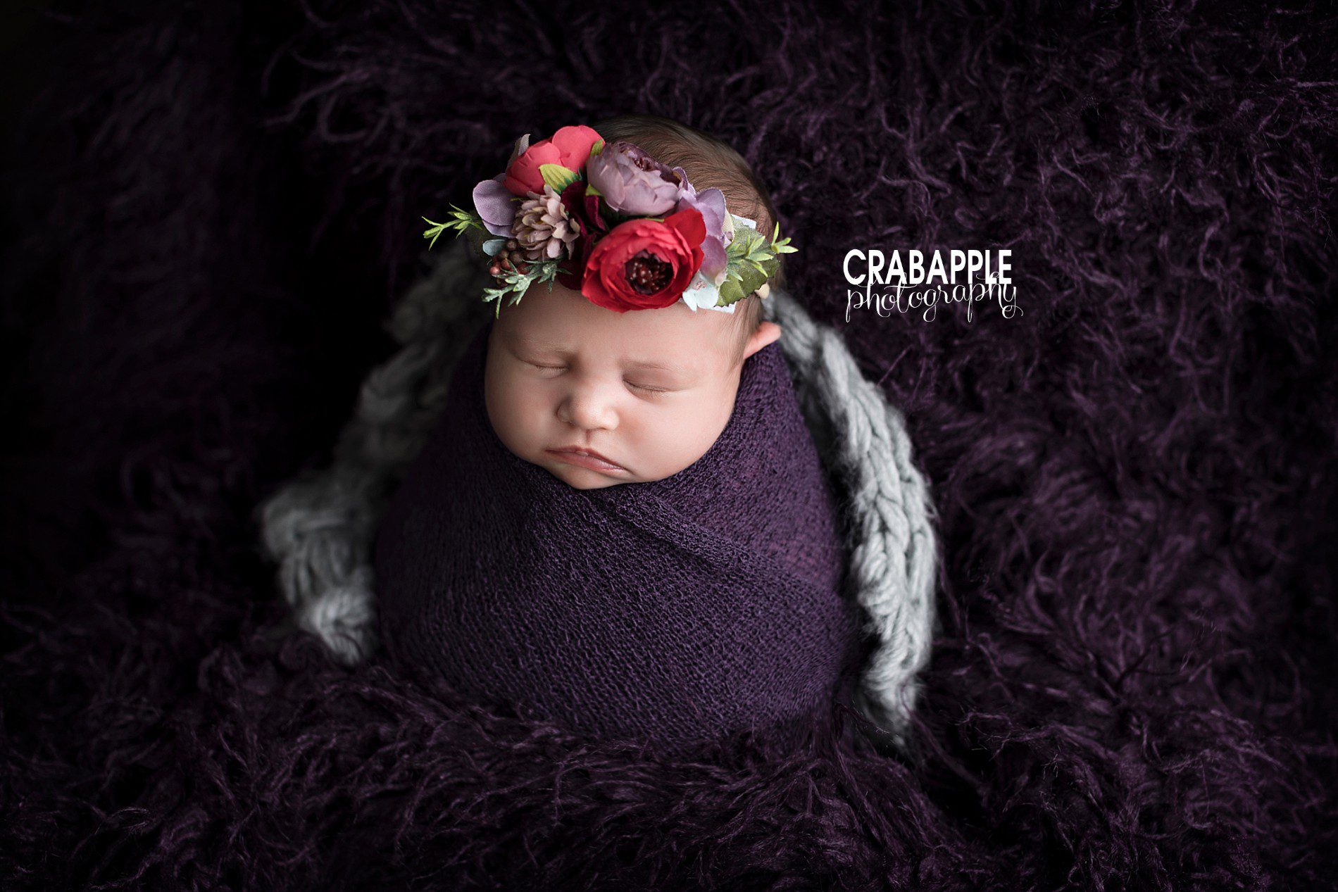 dark purple jewel tones newborn photos