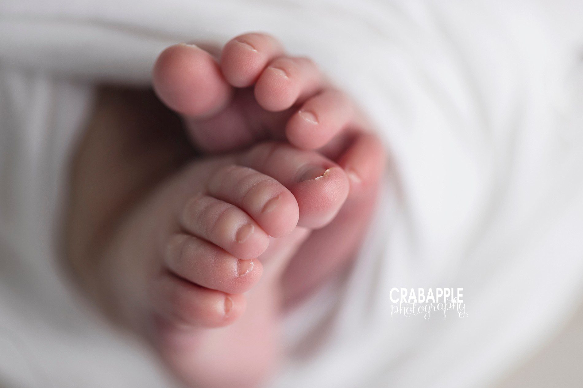 newborn toes detail photos