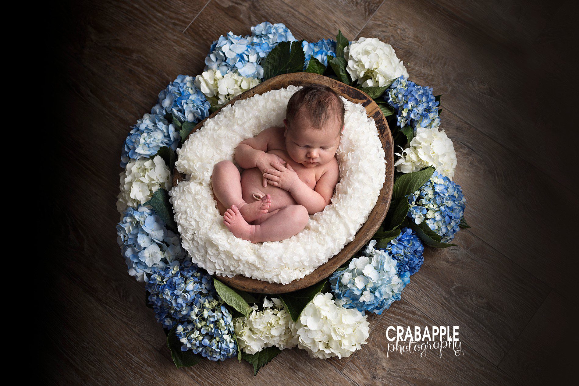 using hydrangeas in newborn photos