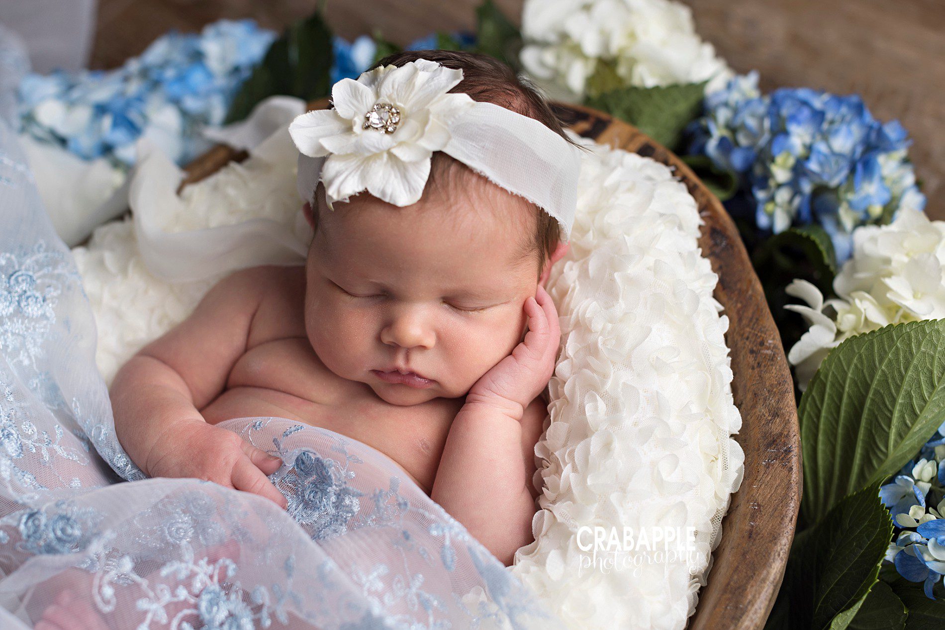 floral newborn photos with hydrangeas