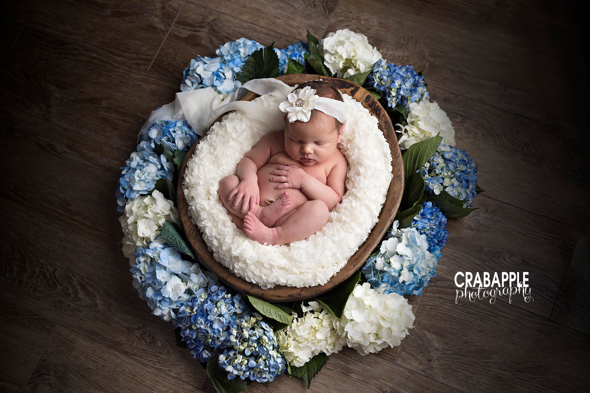 using fresh flowers in newborn portraits