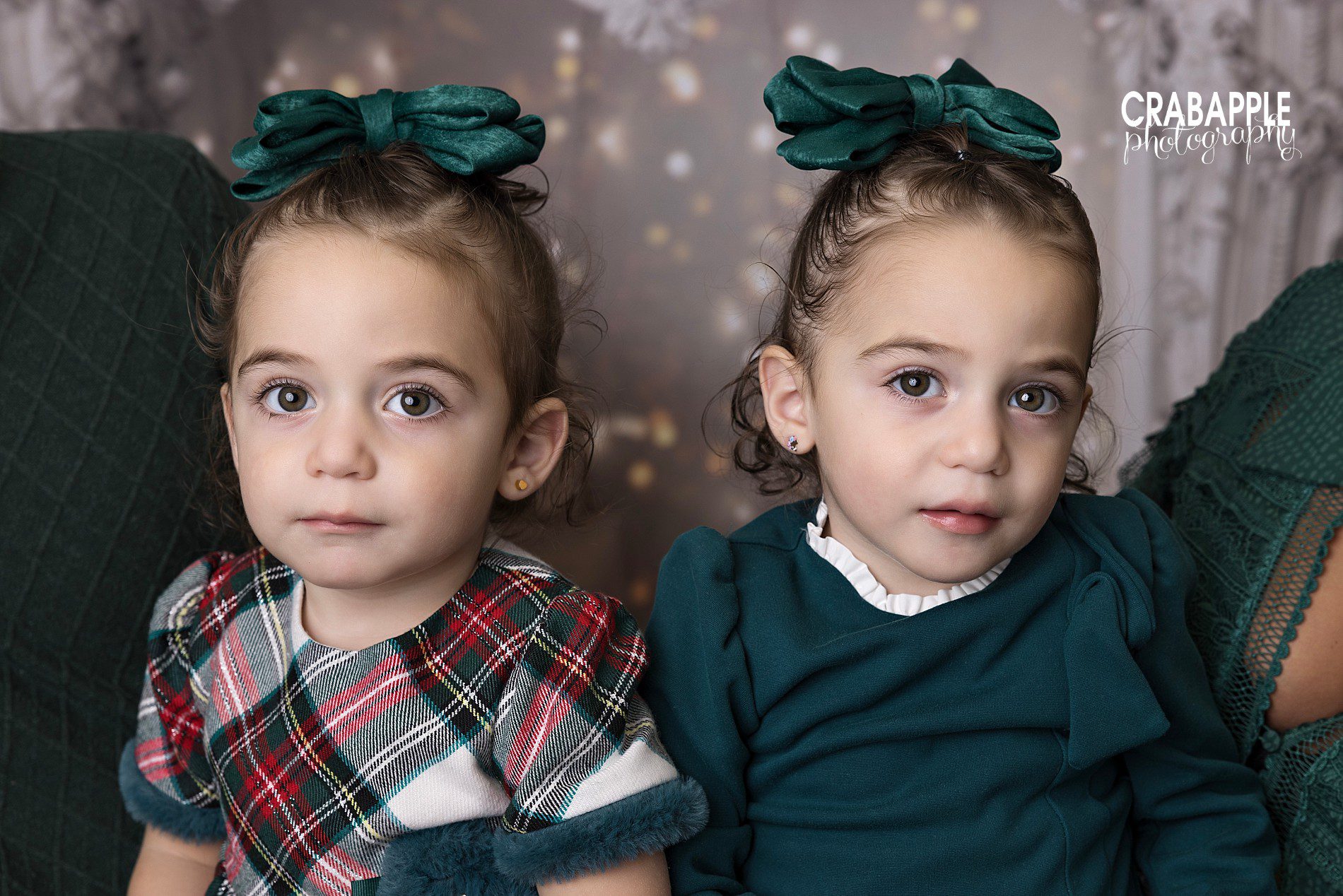 twin toddler christmas portraits
