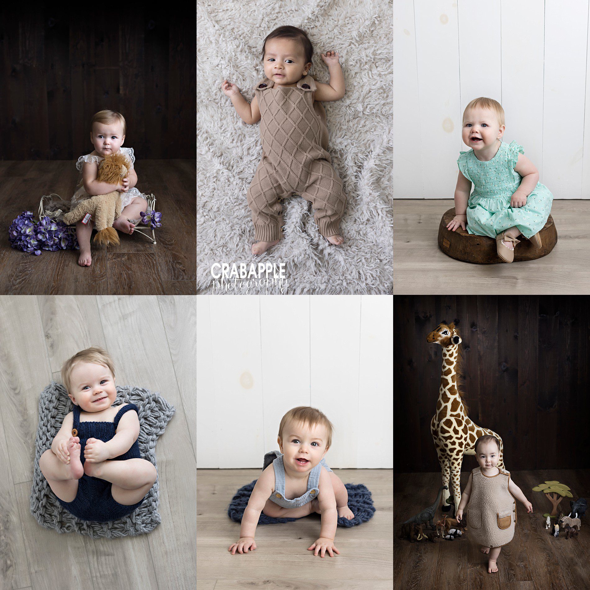 milestone baby photo ideas