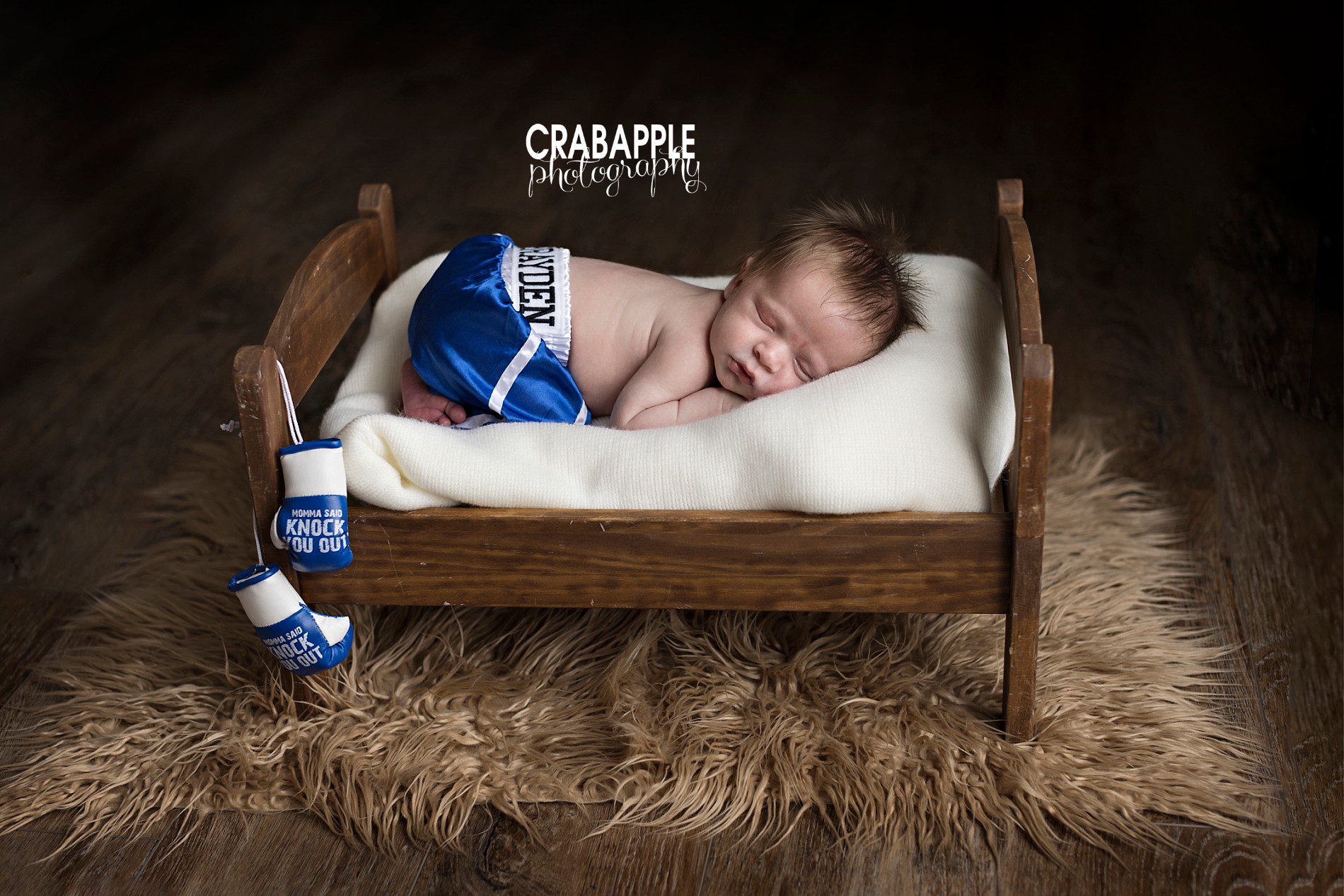 boxer themed newborn photos