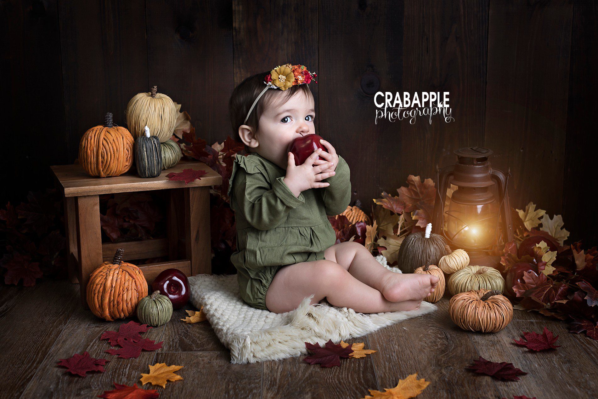 fall themed baby one year pictures