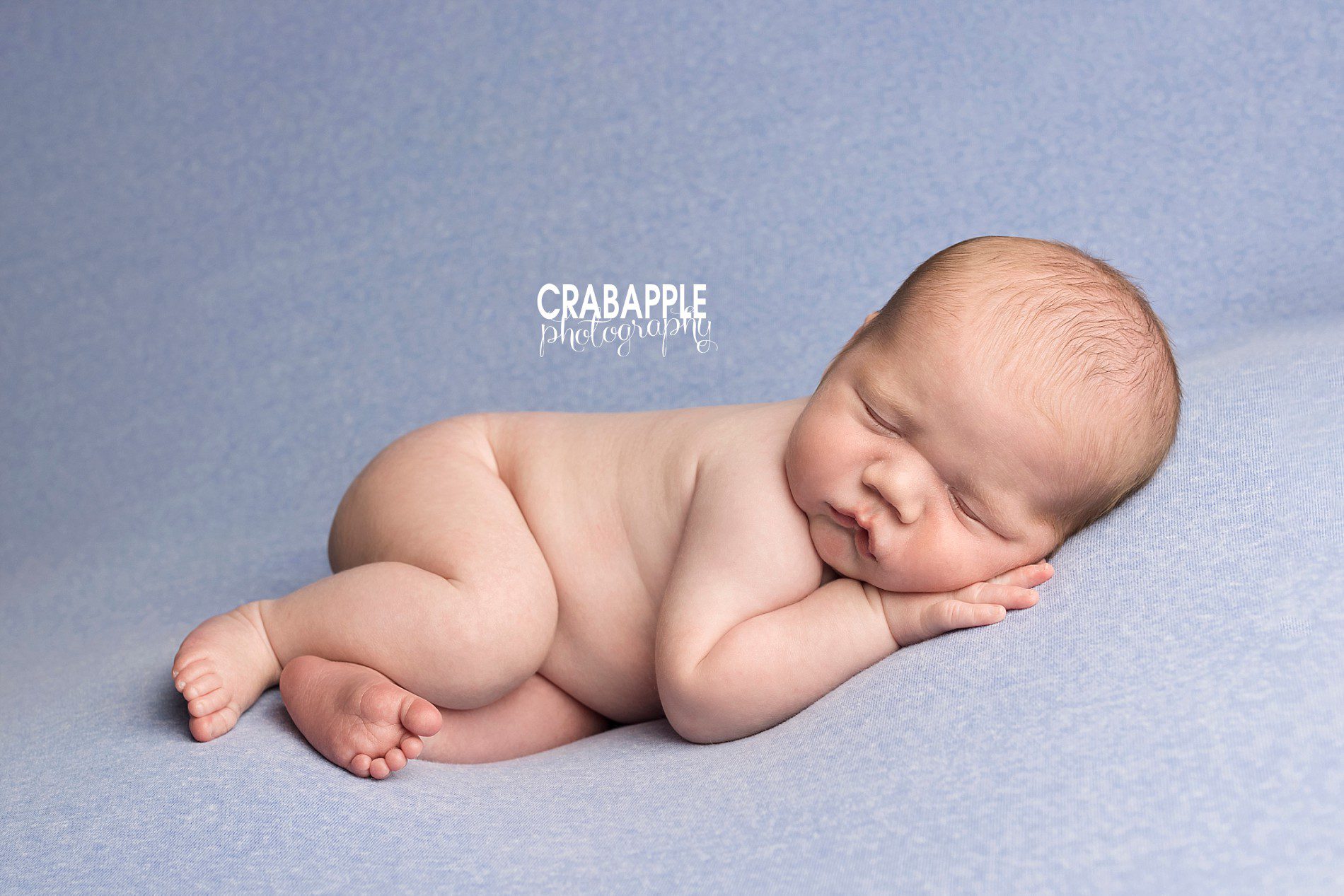 sweet and simple newborn photos with blue background