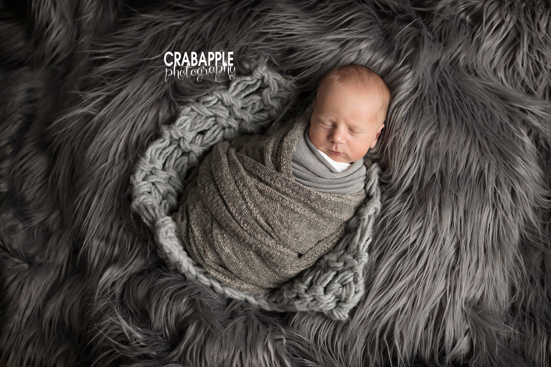gray newborn photos for boys