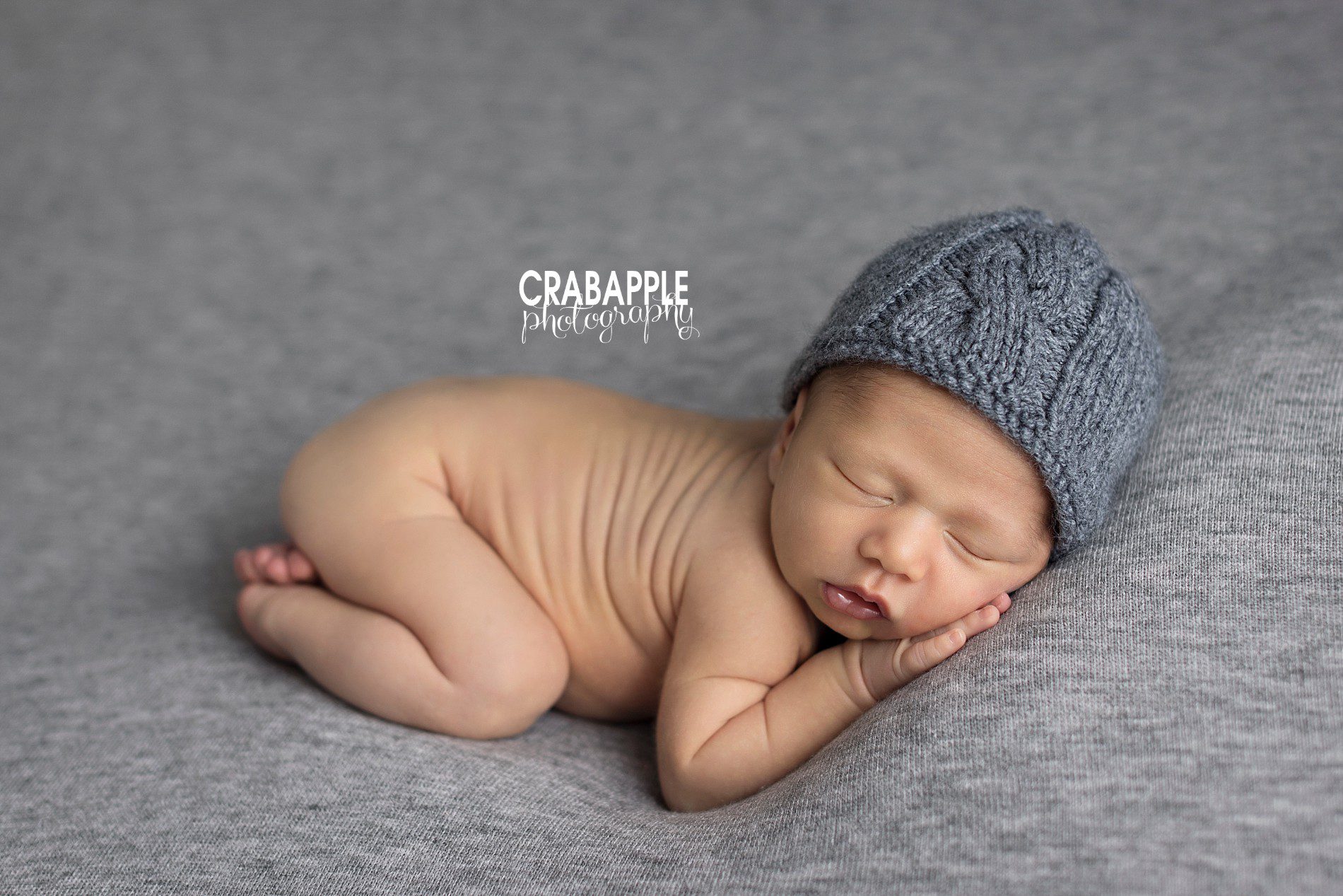 simple newborn photos with gray