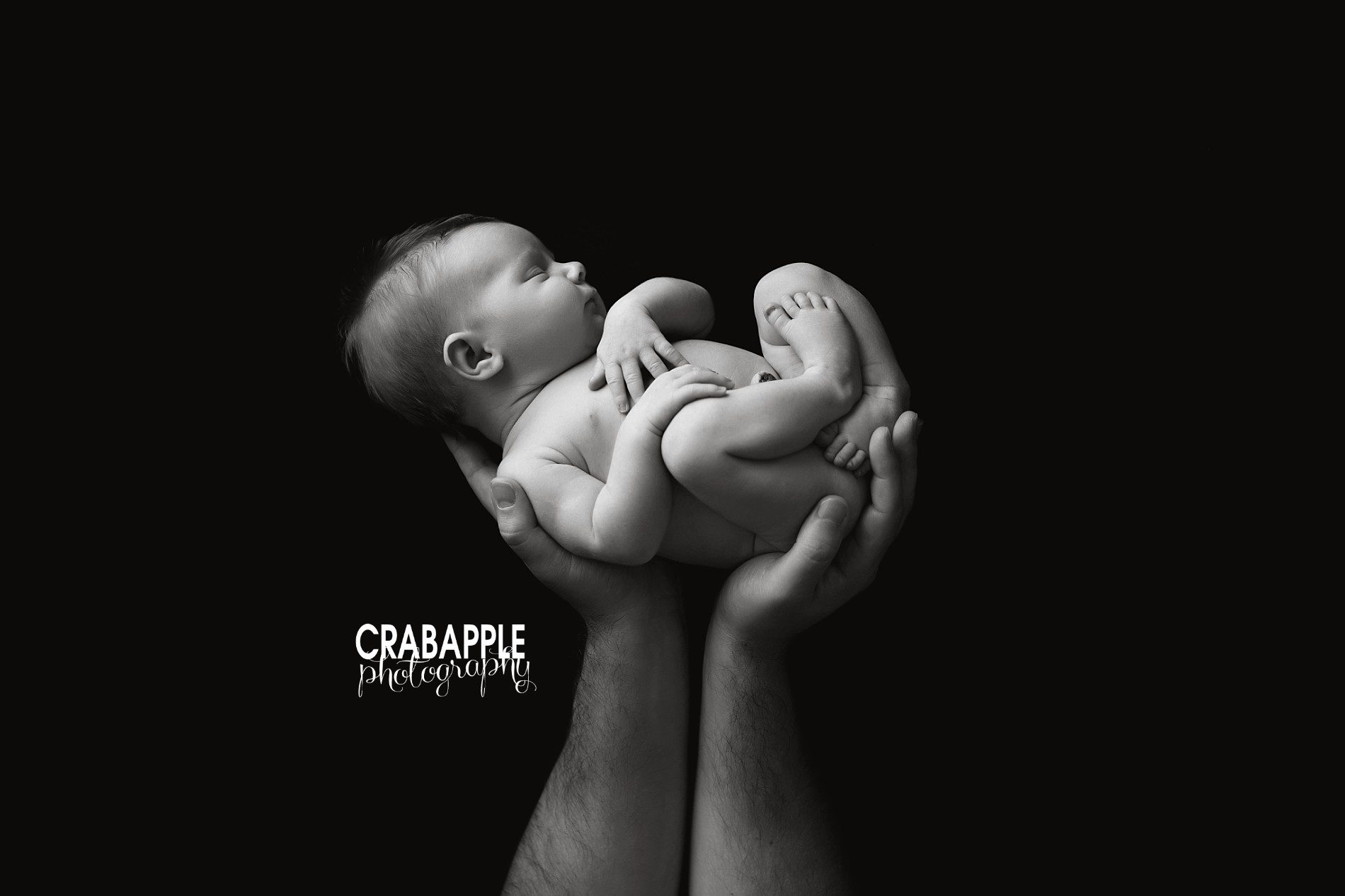 ideas for newborn poses in father's hands