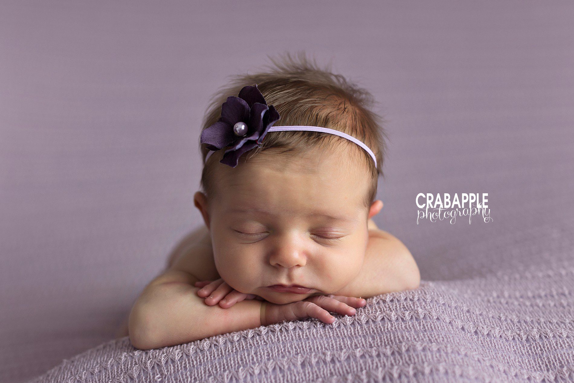 purple newborn photos