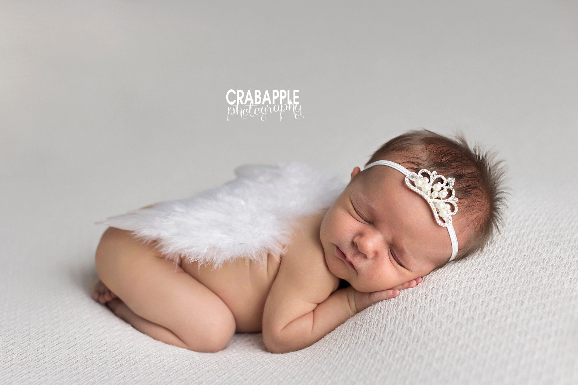 angel wing newborn photos