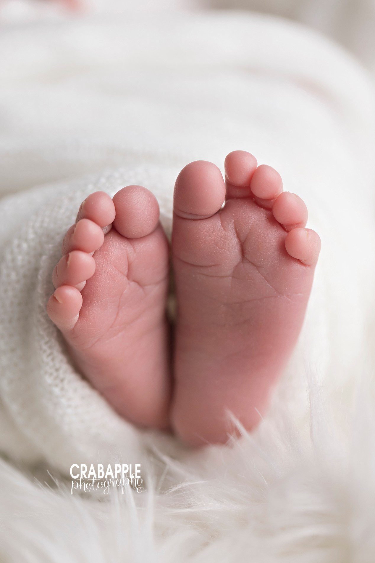 ideas for new newborn portrait photographers