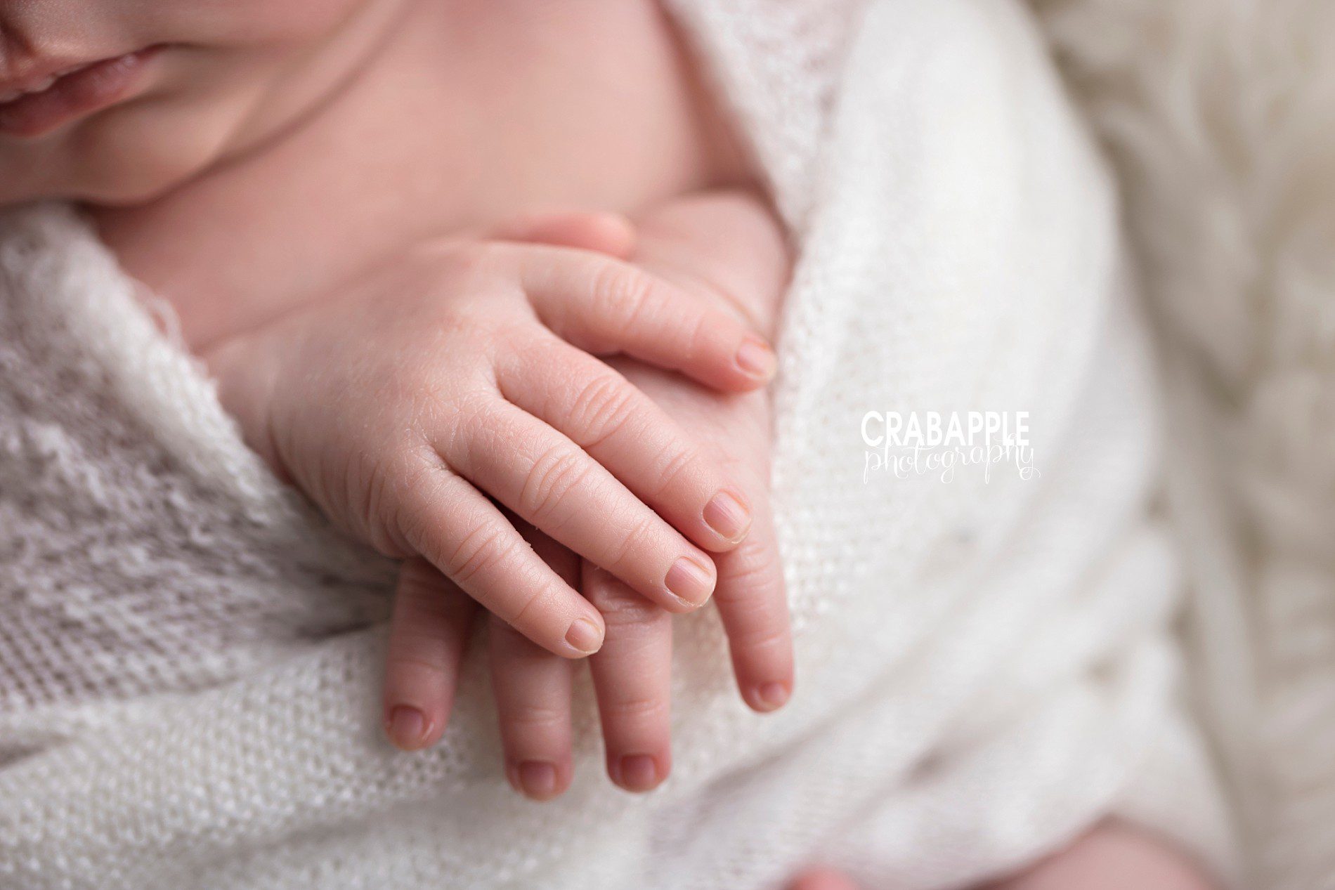 newborn portraits fingers