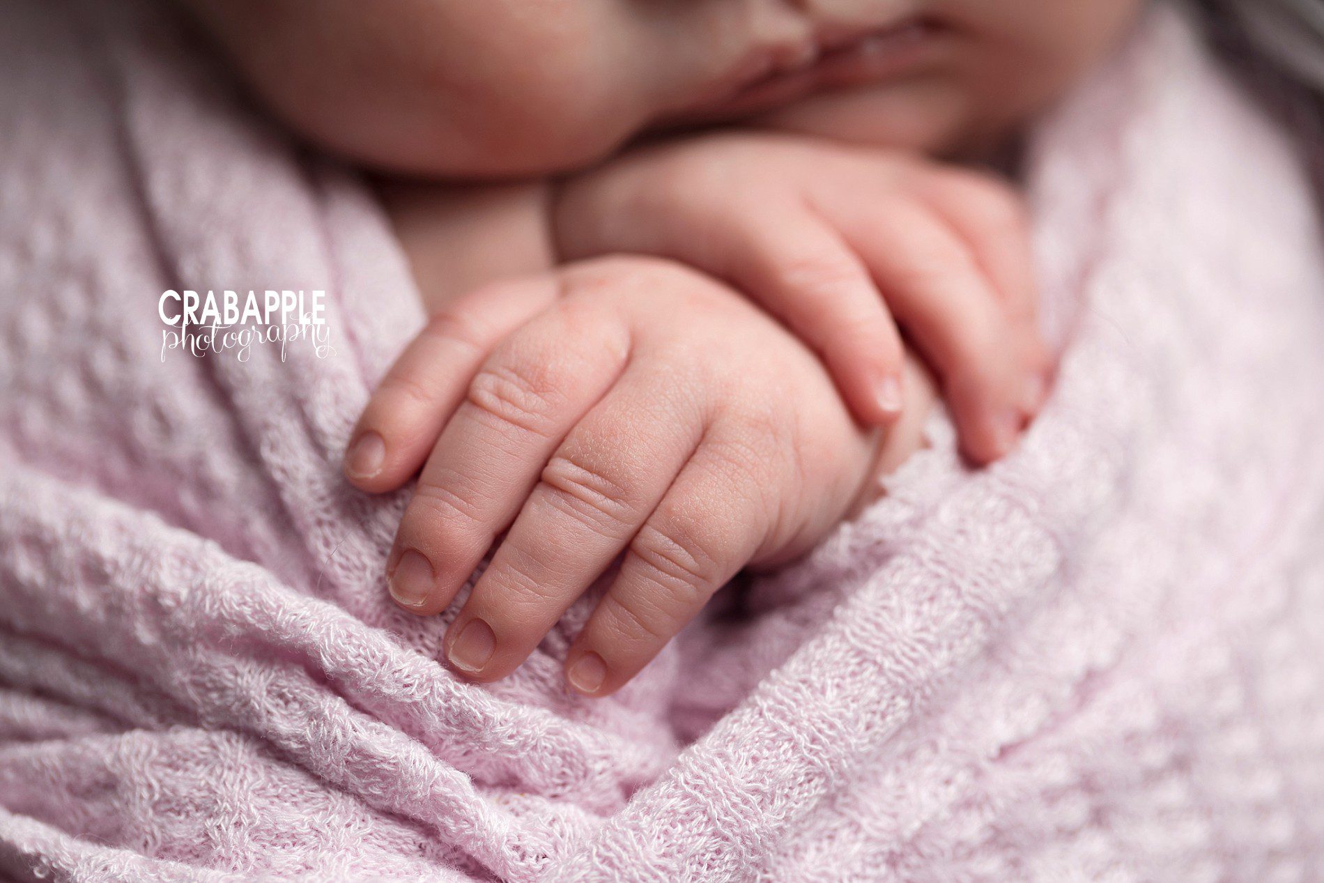 newborn portraits detail photos hands