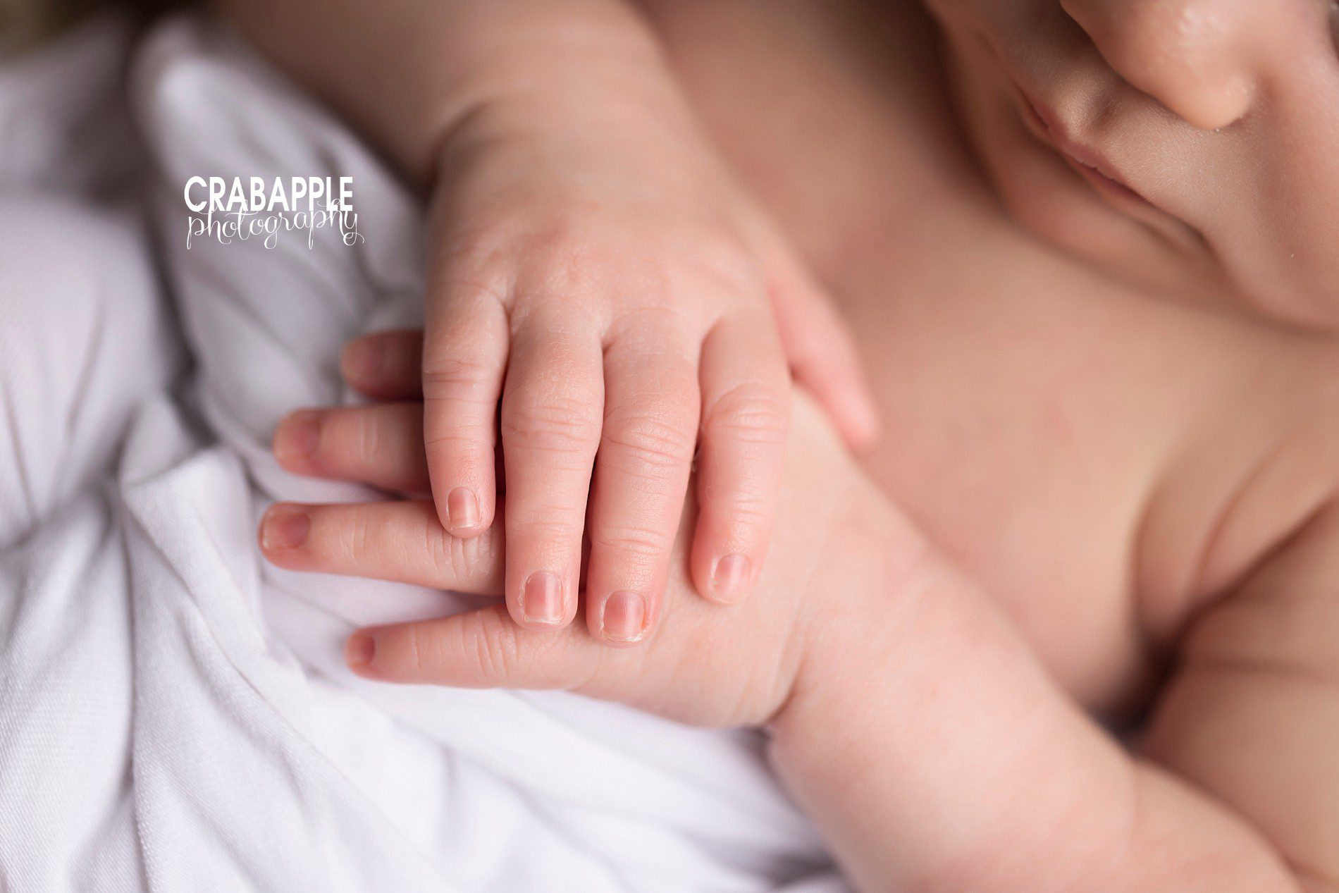 newborn portraits finger detail photos
