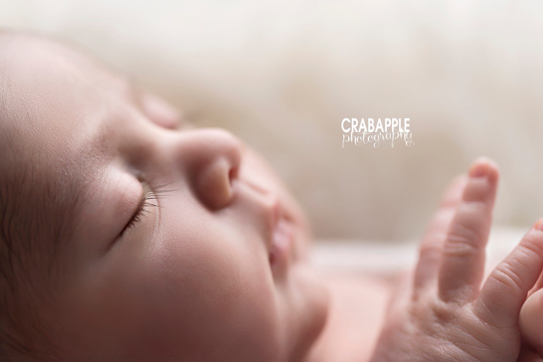 stunning newborn portrait photography