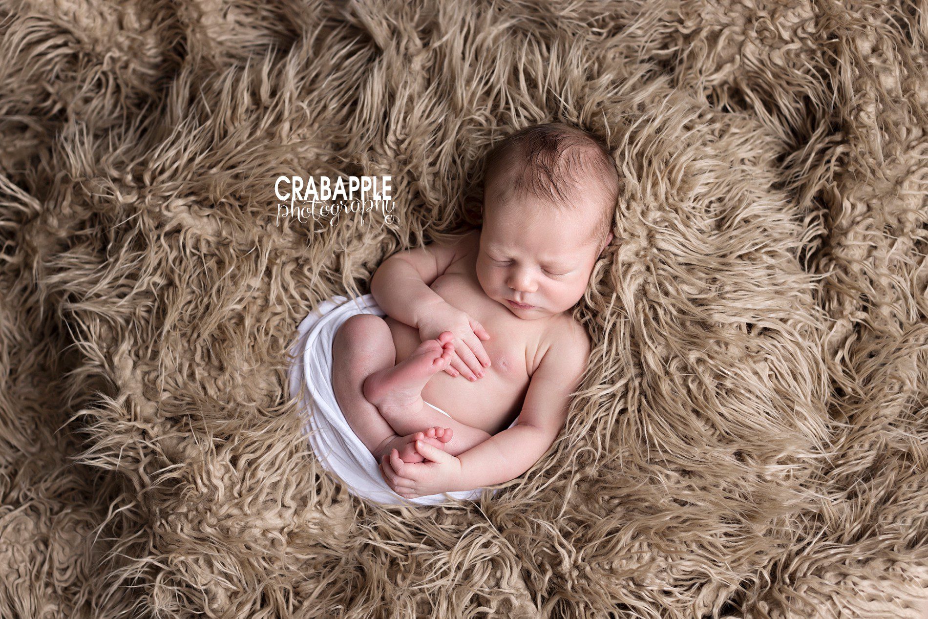 using brown in neutral newborn photos