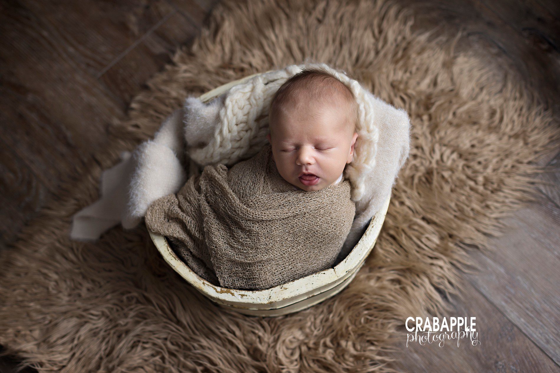 brown and white newborn photos