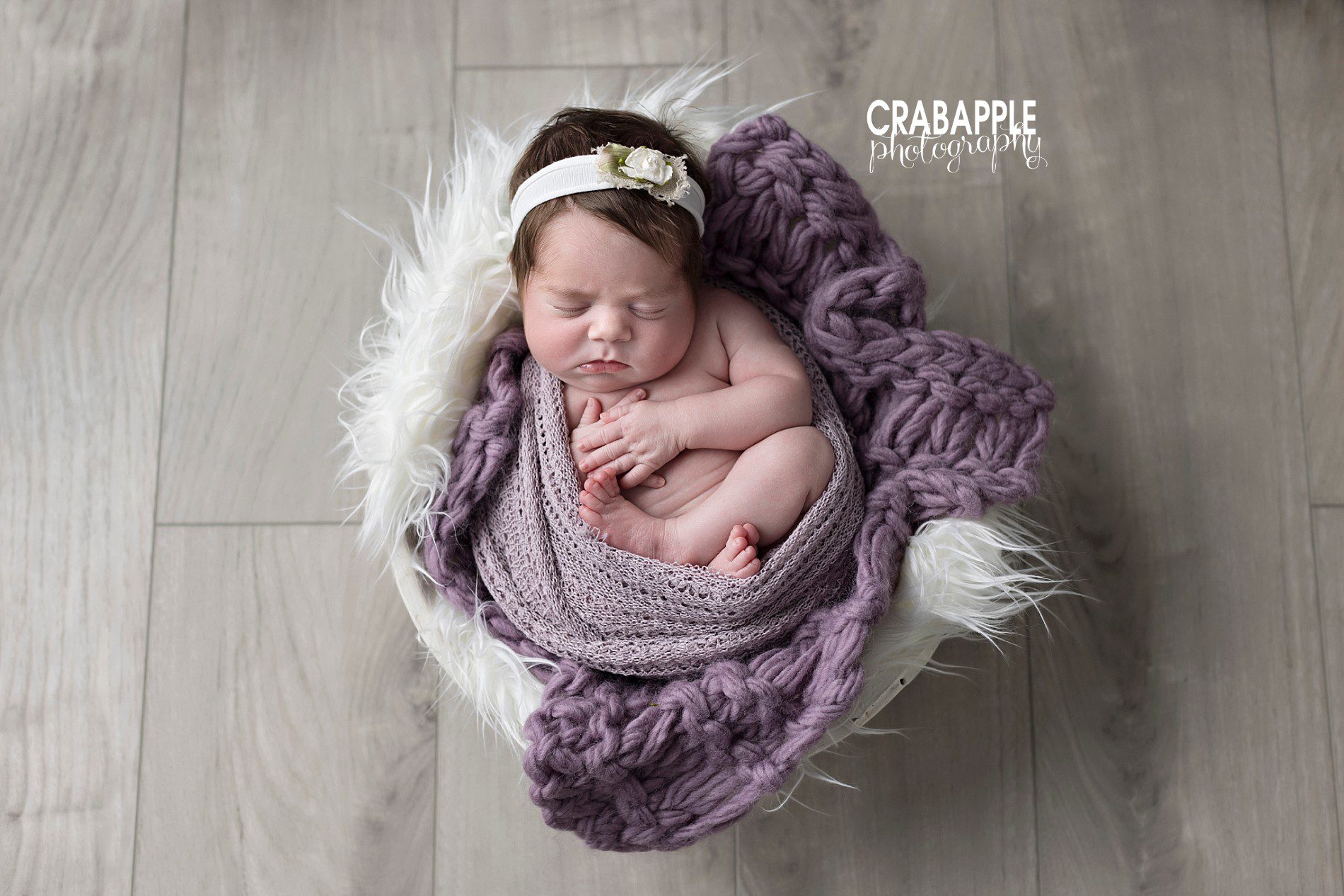 sweet newborn photos using purple