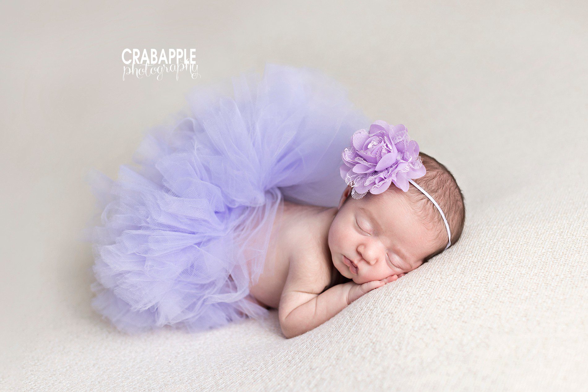 light purple for newborn pics